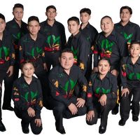 mi flauta me dice te aflijo