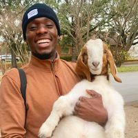 original sound - whatsup