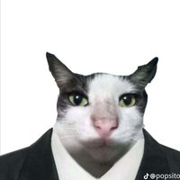 blaos_bot