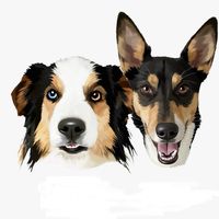 finleyandjosie