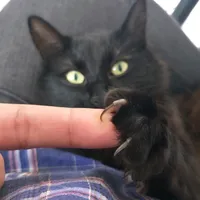 Quien es lo más lindo de la casa Original.