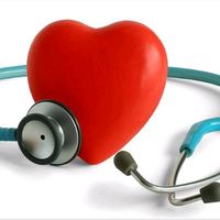 sifali_bilgiler_tarifler