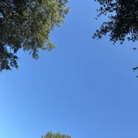 original sound - bestfindsndeals