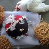 efootball_pes_2025_6