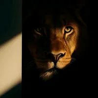 original sound - k.e094