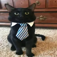 original sound - bajing.j