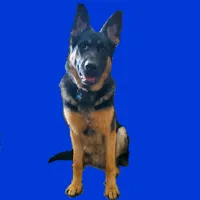 original sound - titan.the.shepherd