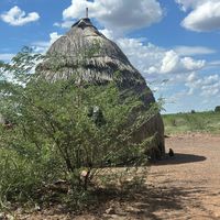 shangazifoundationbackup