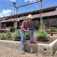 original sound - samyarroyo5