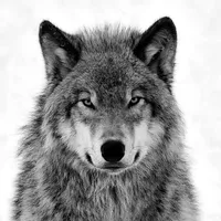 original sound - m_y_m.pe