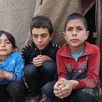 savegaza313