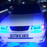 original sound - raton_blanco