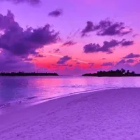 original sound - jinxieqt5