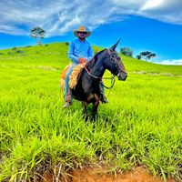 paulohenriqueberranteiro