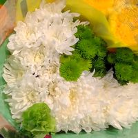 almma316