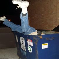 dumpsterdivinge