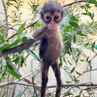 LIAM NOOOO save you tonight 1D