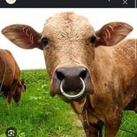 i.am.change.i.am.growth