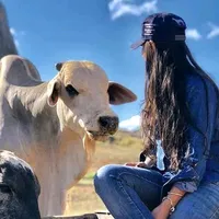 original sound - modaoth