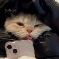 xsnprw_