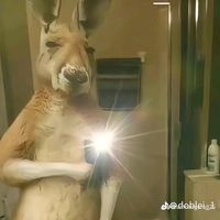 bonyyredditrd
