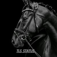 tlsstatus
