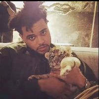 heartless_xo4