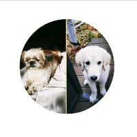 rocky.and.alma