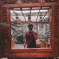 hallodav_