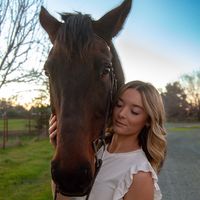 sfequestrian