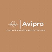 avipro.sa