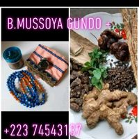 b_mussoya_gundo