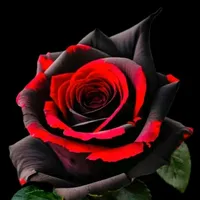 original sound - ernest_lyrics