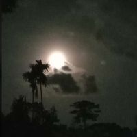 suara asli - Dekkils