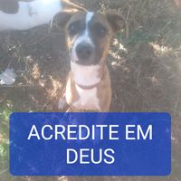 spaik123feliz_