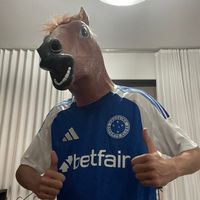 cavalu_sem_nocao