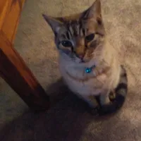 original sound - debbielittle610