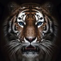 original sound - reddevilzm