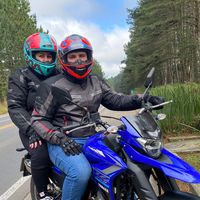 pilotandopelosul