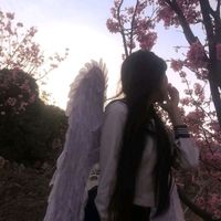 xhoreva.songs