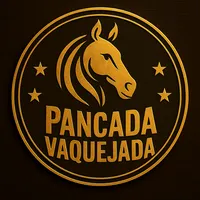 original sound - pancadavaquejada