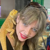 chuckthebeardeddragon