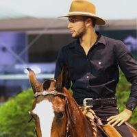 pedroivoreiss