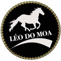 leo.do.moa