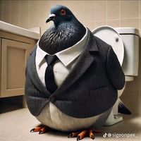buisnessmanpigeon67