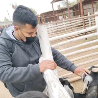 original sound - glripanaque23