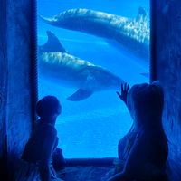 smilinghappytiktoker