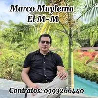 original sound - marcomuylema2021