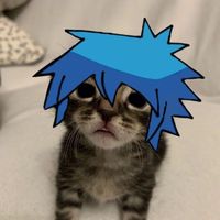2d_the_cat