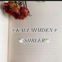 .kalemimden_siirler